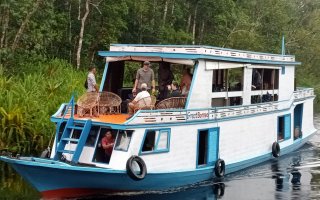 Bali holiday trip to orangutan tour Borneo Bali holiday trip to orangutan tour Borneo 3d2n Bali Komodo Trip