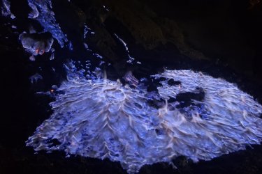 3D2N Cheap East Java Tour – From Surabaya to Ijen Blue Fire & Bromo Sunrise, Then Return to Surabaya Cheap 3D2N East Java Tour – Ijen Blue Fire & Bromo Sunrise Join our cheap 3D2N East Java tour from Surabaya! Explore Ijen’s Blue Fire and Bromo’s sunrise in one affordable trip with a round journey back to Surabaya. Bali Komodo Trip